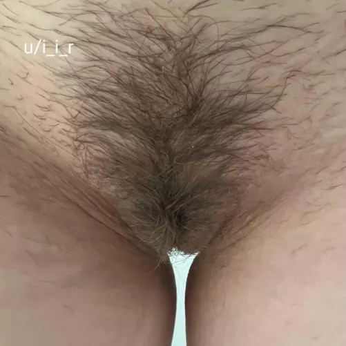 Wife's bush by i_i_r