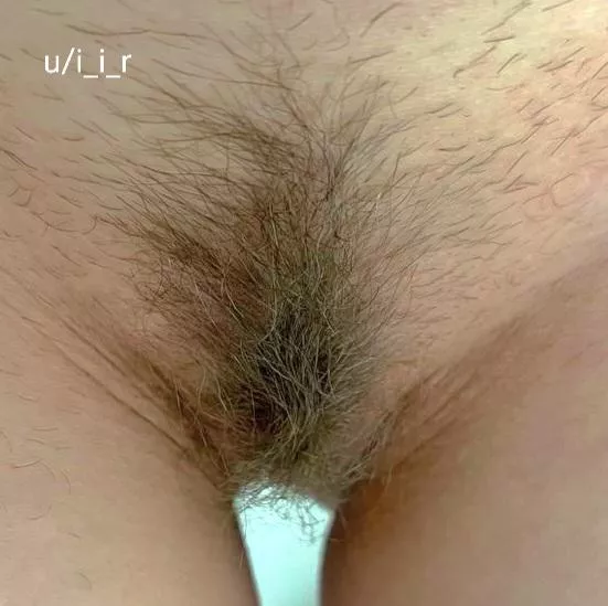 Wife's bush posted by i_i_r