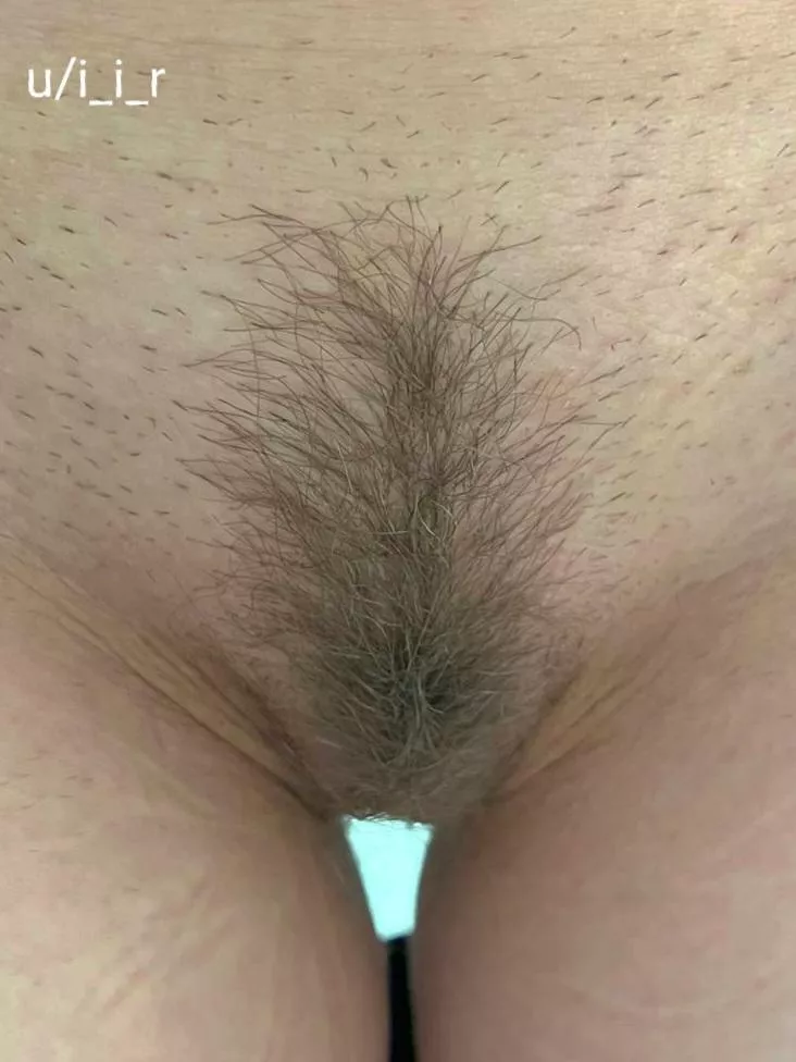 Wife's trimmed bush posted by i_i_r