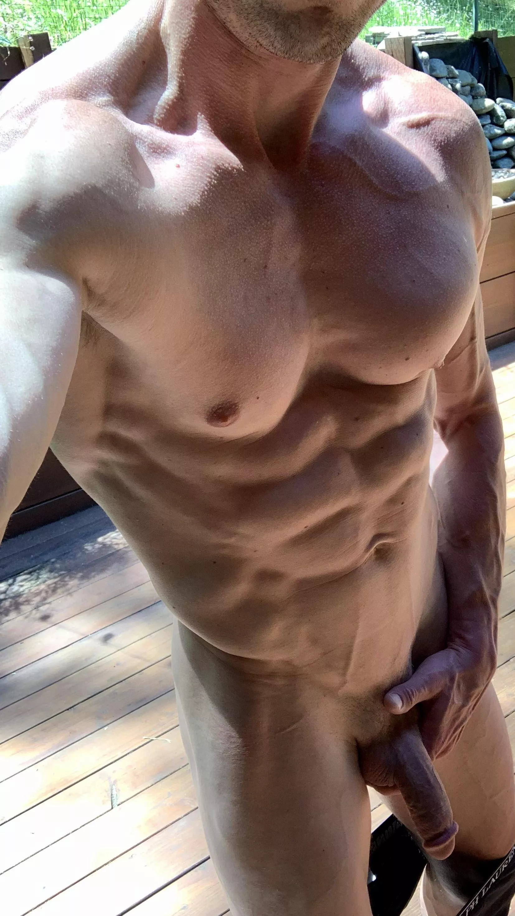 Will grow in sun posted by MJgametime5