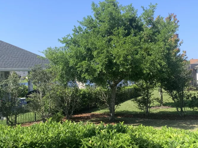 Will undress in public for tips hmuuuuu by ConfidentGirl69