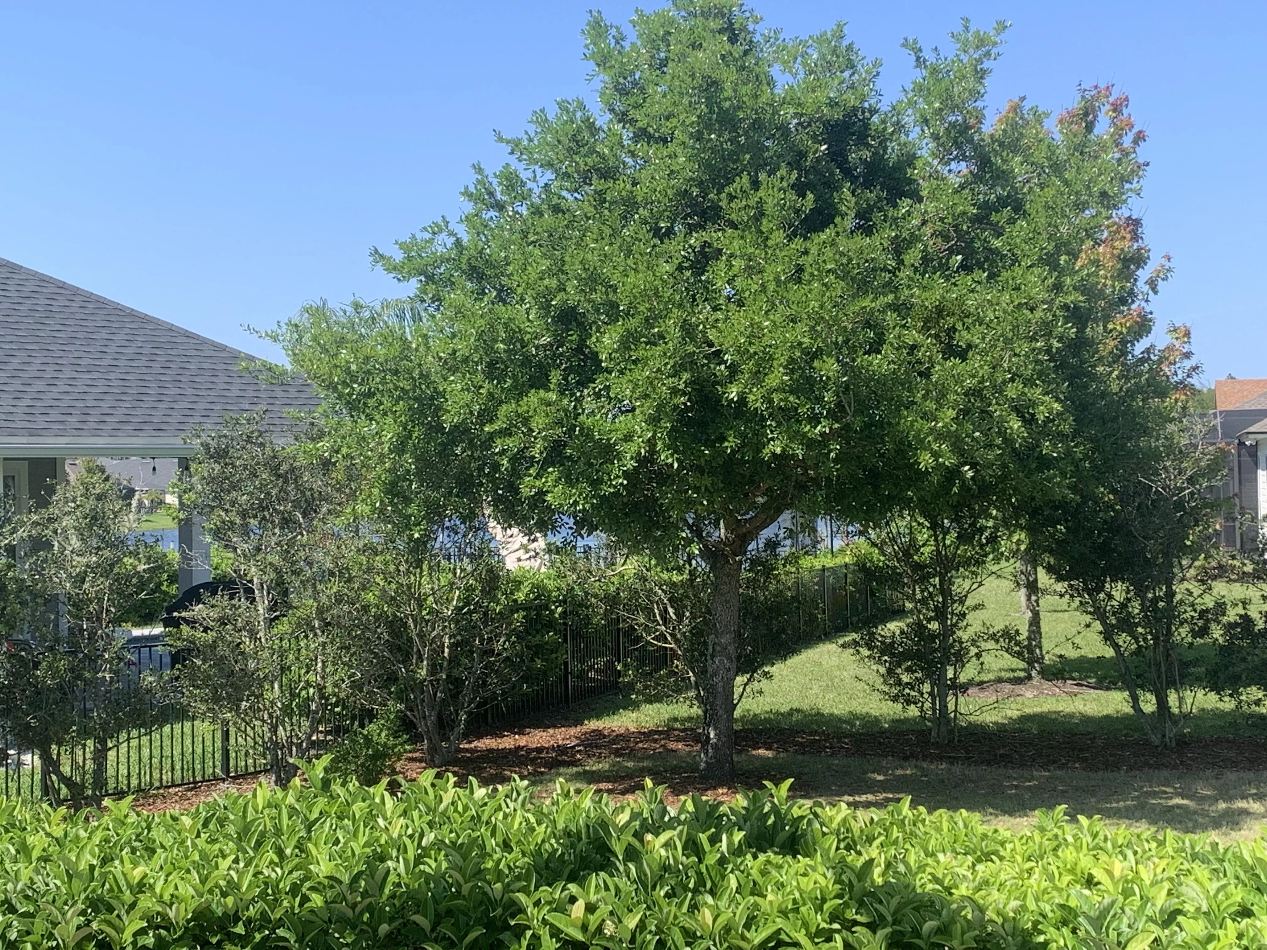 Will undress in public for tips hmuuuuu posted by ConfidentGirl69