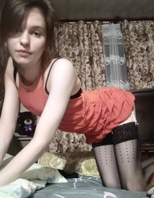 Will you gift me a new bear? by vermillion_19