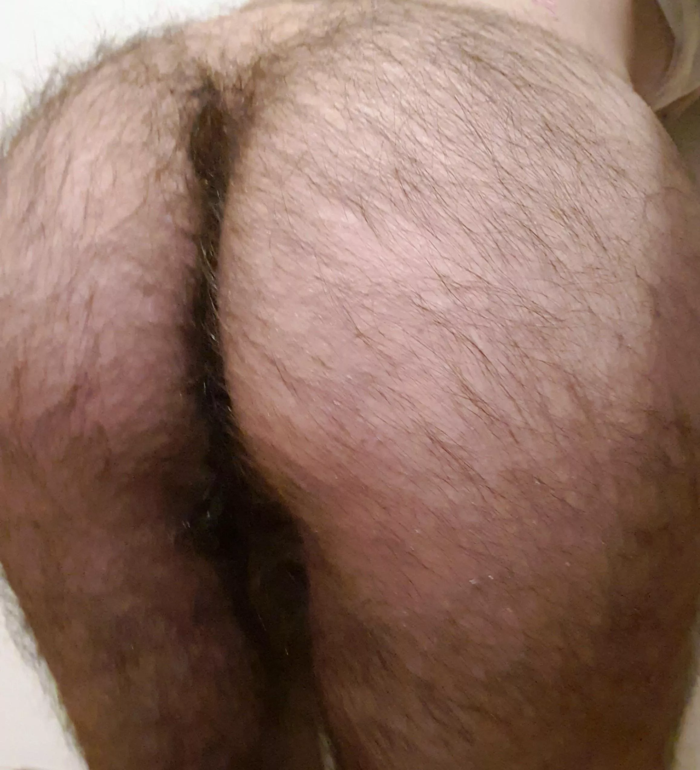 Will you spread my otter cheeks apart ? posted by ludovik123