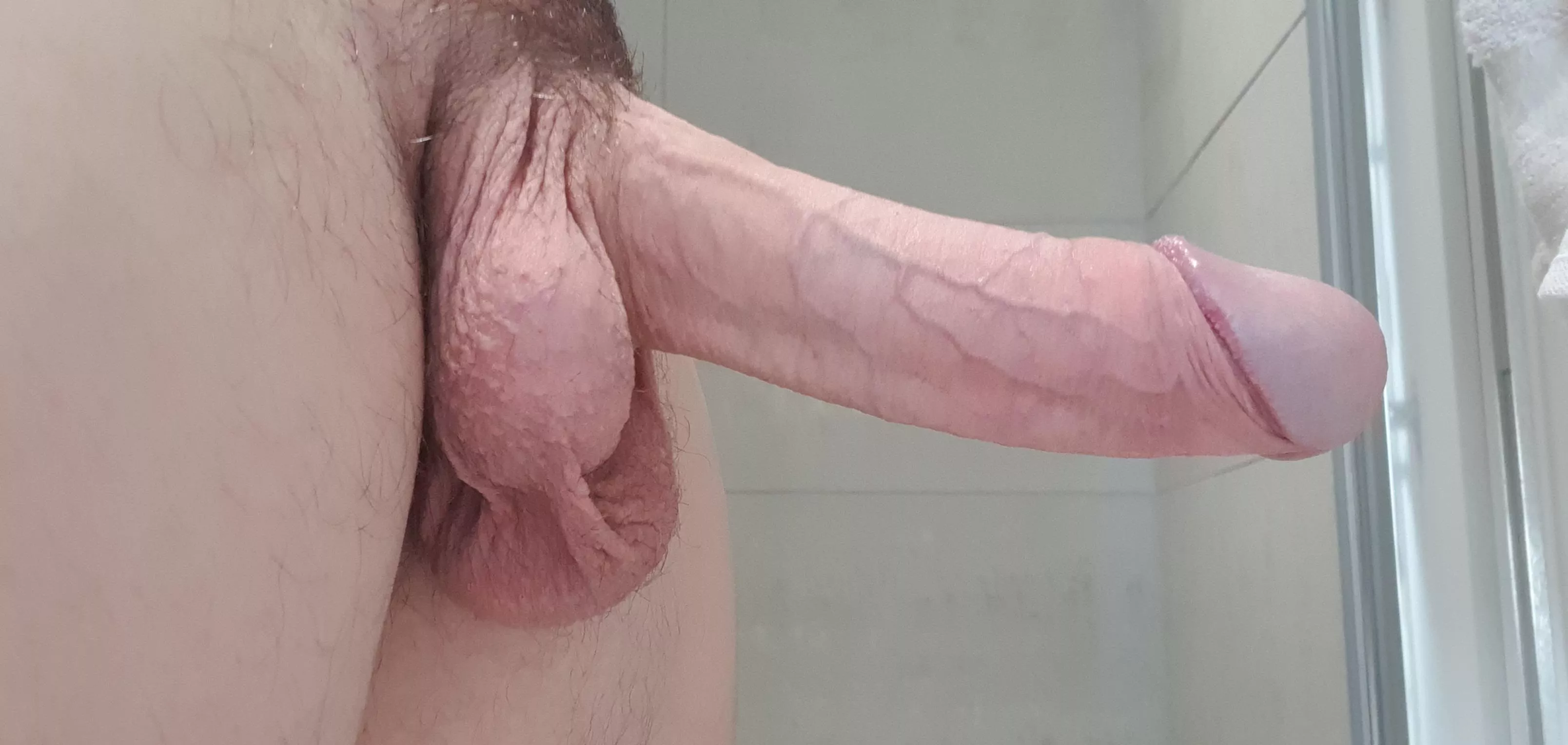 Will you swallow my load? posted by m-dom