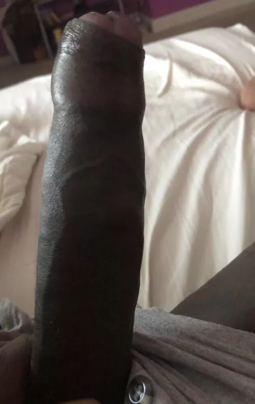 Wish I had a sissy here this morning to take care of this by bona912