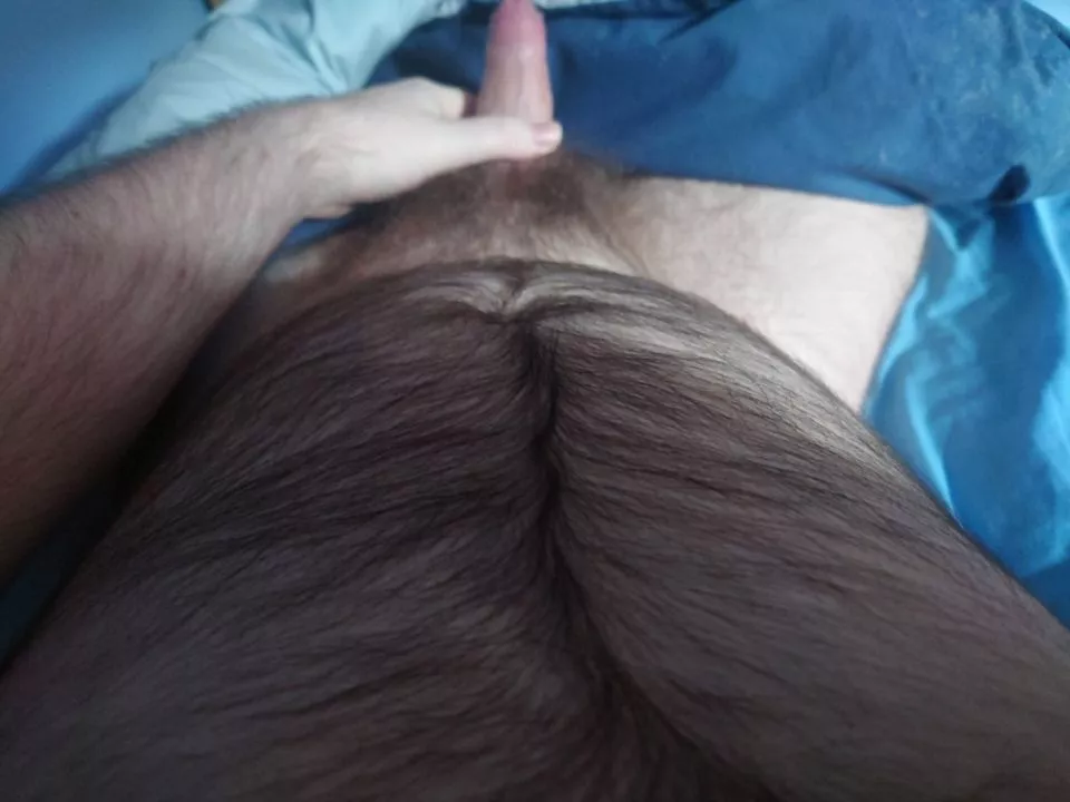 Wish someone could rub my musky beefy belly posted by ScottishKipper