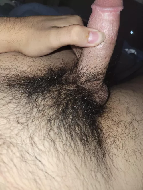 wish they were harrier. tell me your thoughts? dm's open by arsene45