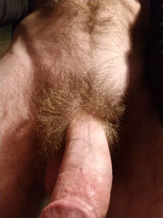 Wish this were your POV? posted by prof22357