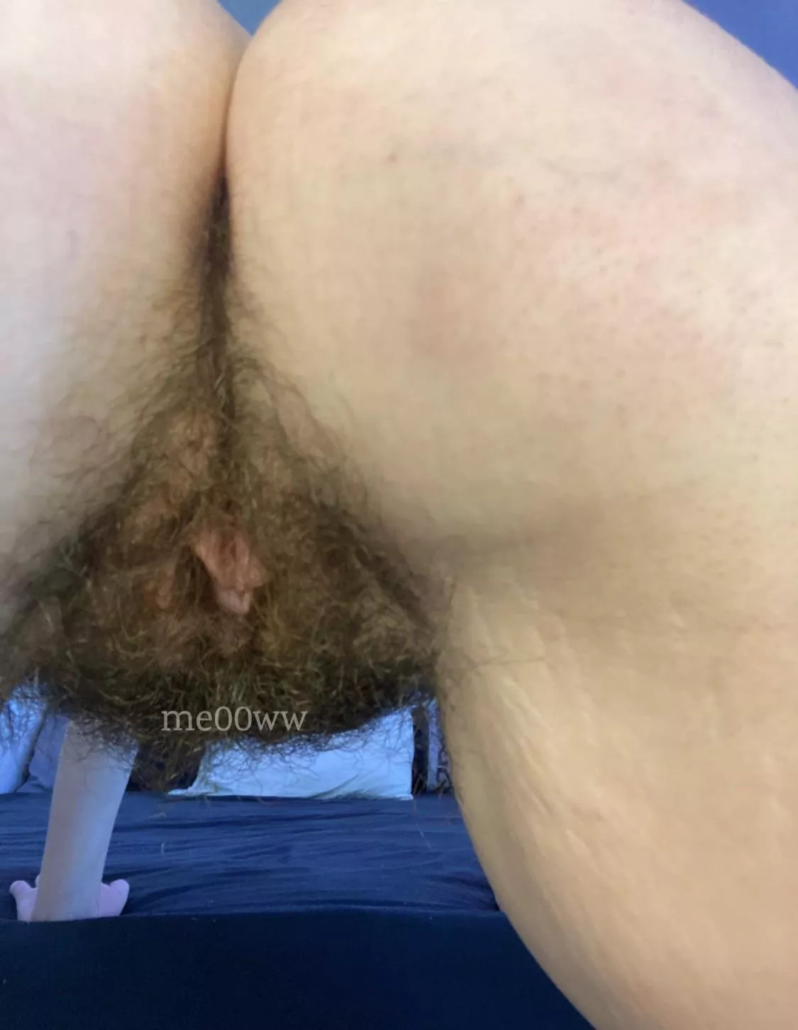 wishing i had a cream pie leaking out of me right about now posted by me00ww