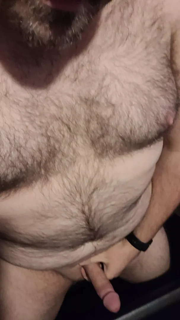 Wishing I had some company. posted by Just_Average2655