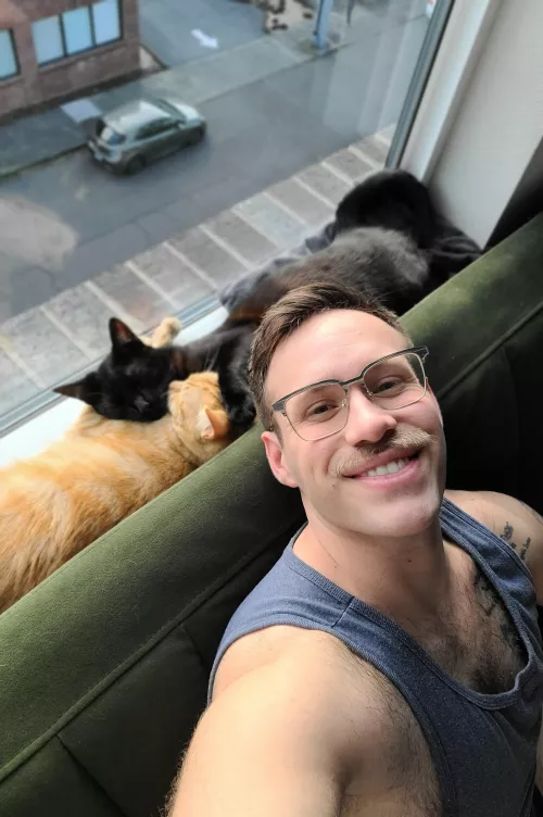 Wishing y'all a happy Caturday 🐈‍⬛🐈 by espresso_patronum08