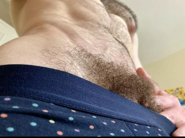 With every day that goes by, these pubes are becoming slightly more plush posted by J-Harker