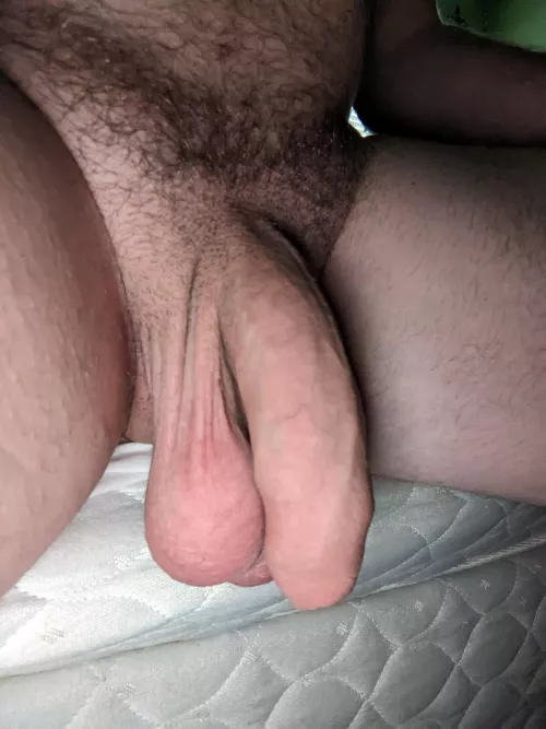 Woke up with my meat hanging heavy by 6ixJoBudz