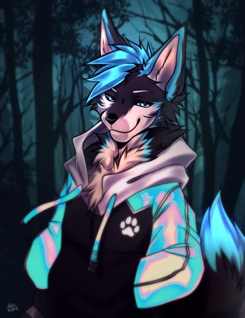 Wolfie In A Hoodie Art By (RobinJinx_) Twitter by Star_Blaze_R