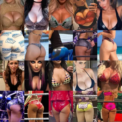 Women's wrestling ass and tits by Suspicious_Mind3548