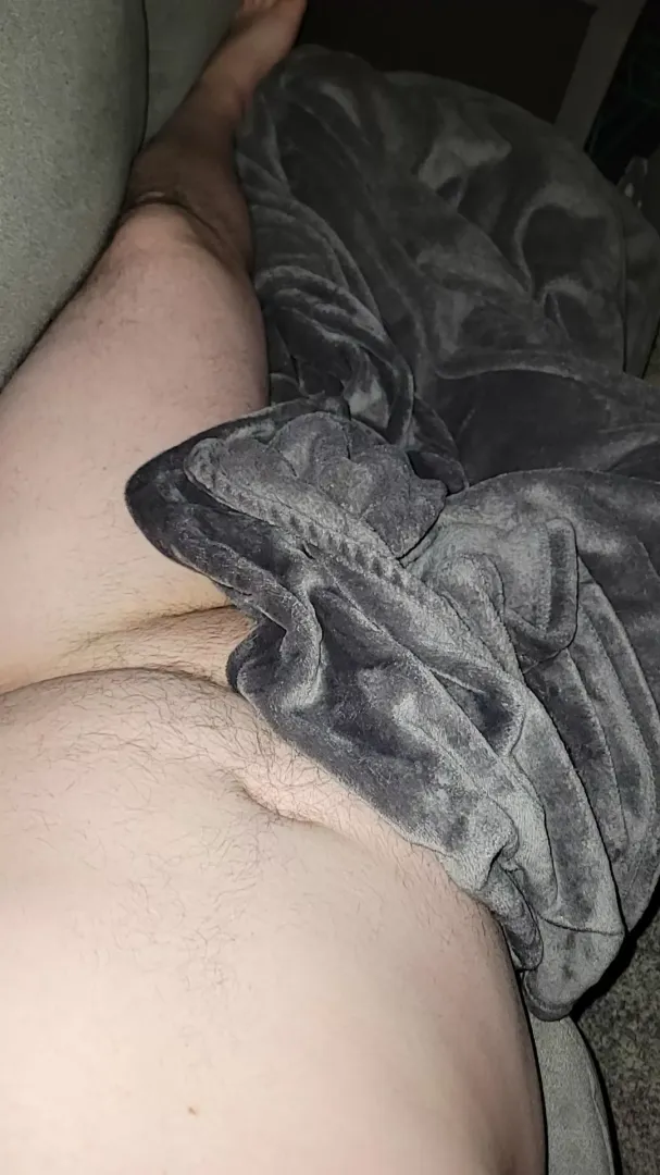 Wonder what's under the blanket? posted by Chimera_in_Disguise