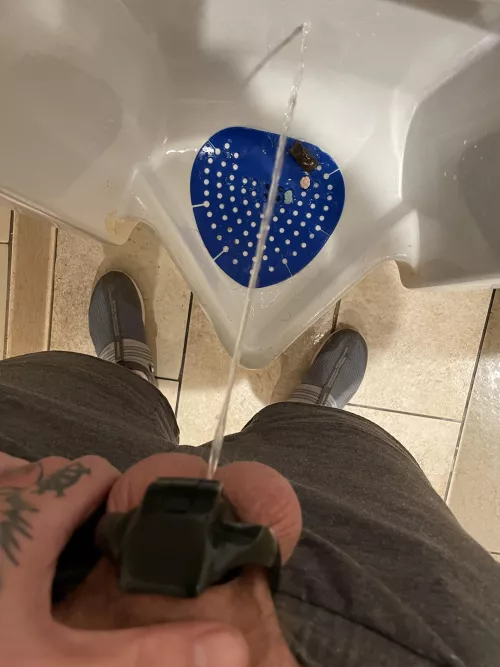 Wonder who else I see daily that’s the same? by BreedMyUncle