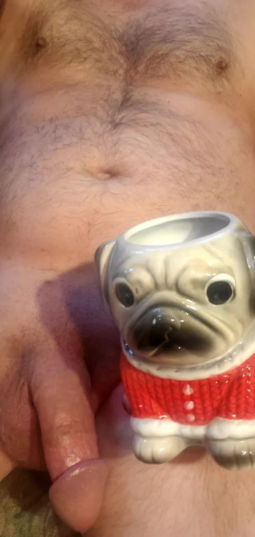 Wood any female like to take my boy for a walk. Ill make a fresh bodum for us to enjoy 😈☕☕😈 by Chad6_9wick