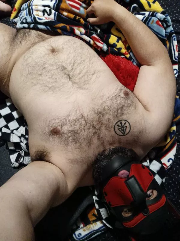 woof evening posted by JBerr2