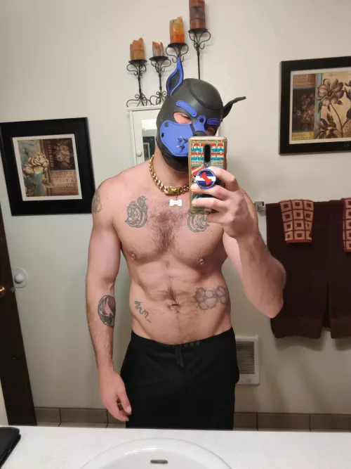 woof! happy to be back in the gym working on that muscle pup look 🤣🐶 by dsereday