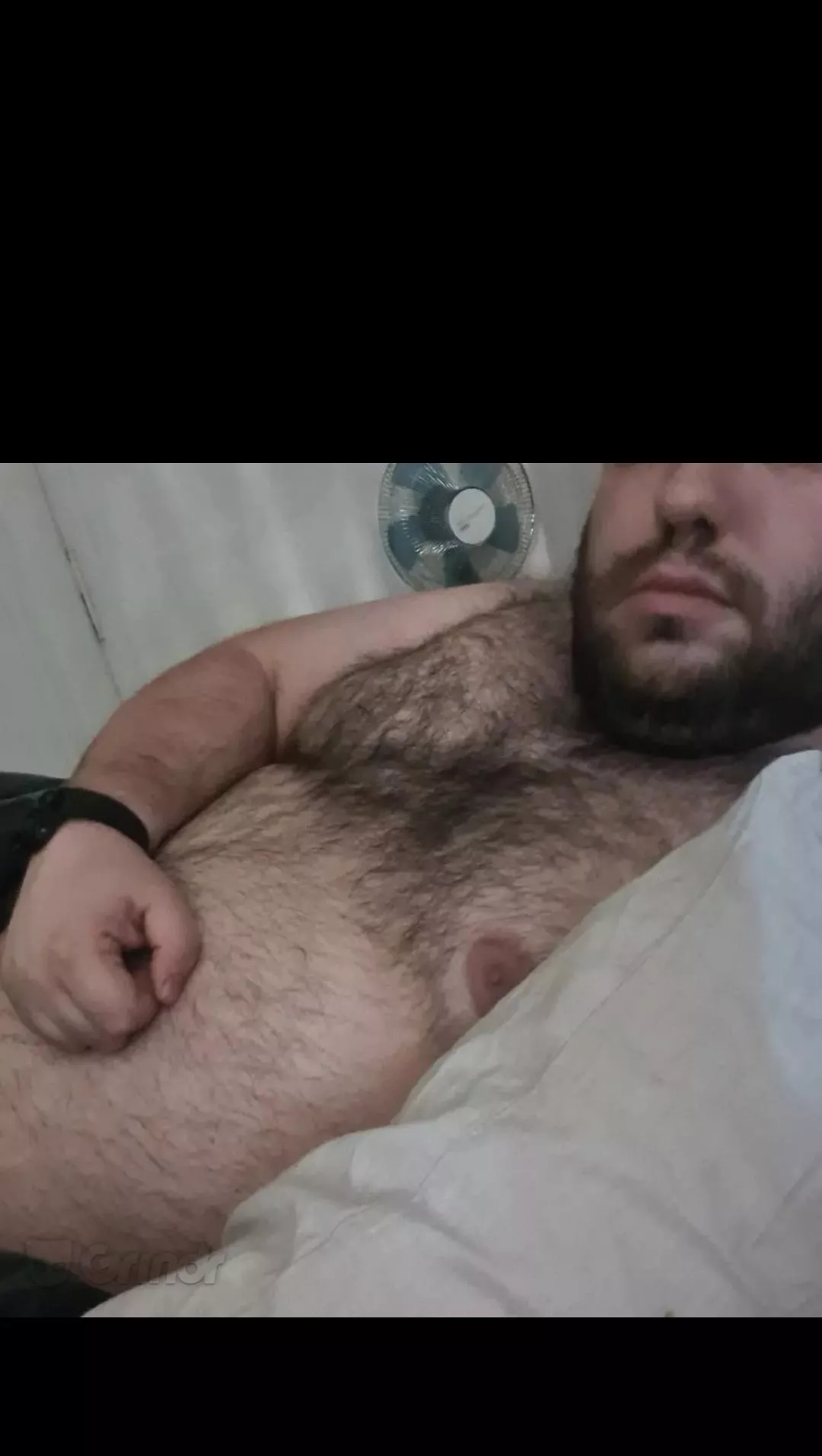 Woof if you want it 🐻 posted by Ok-Context1160