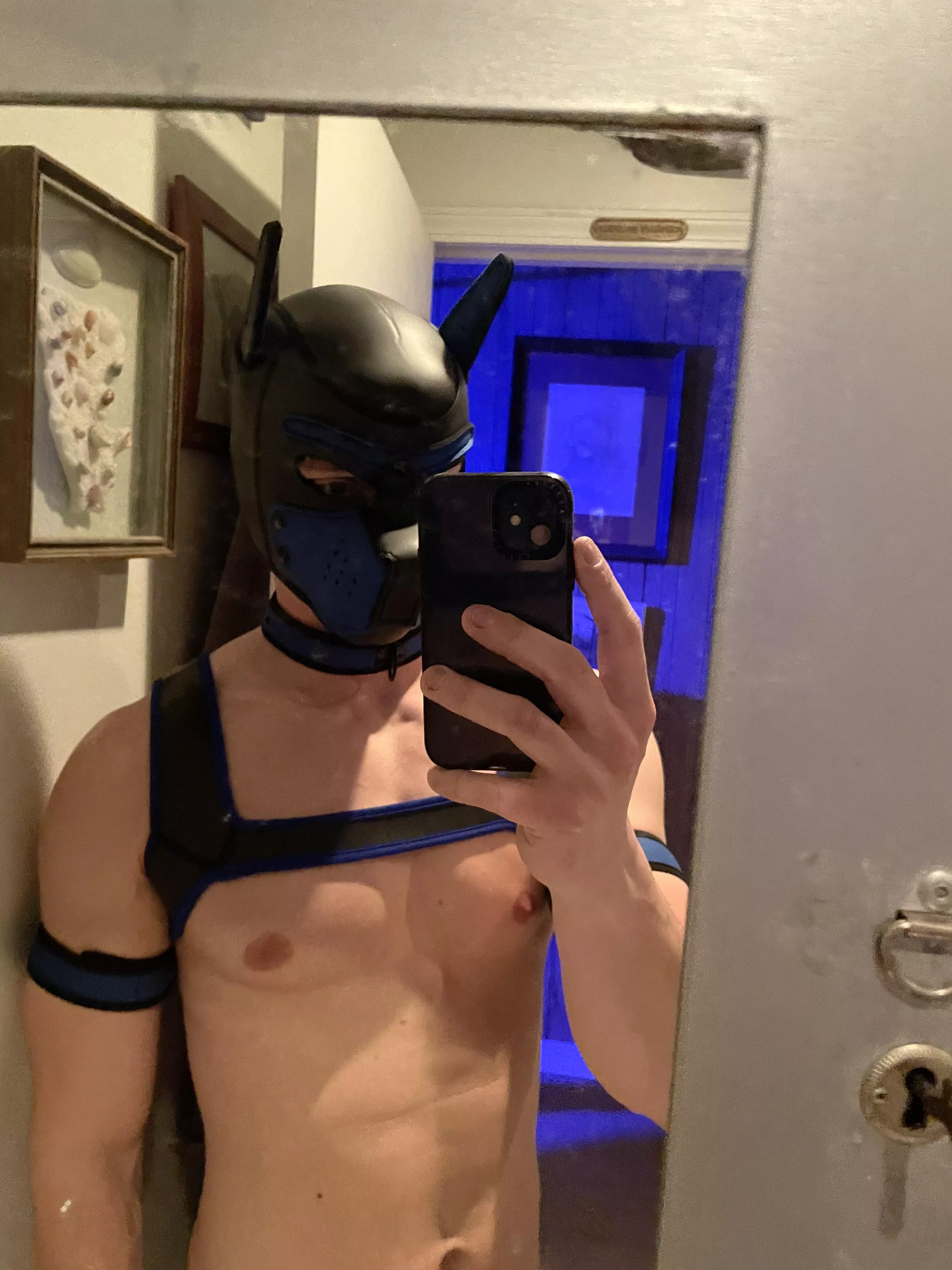 Woof I’m new here posted by PupPowerx