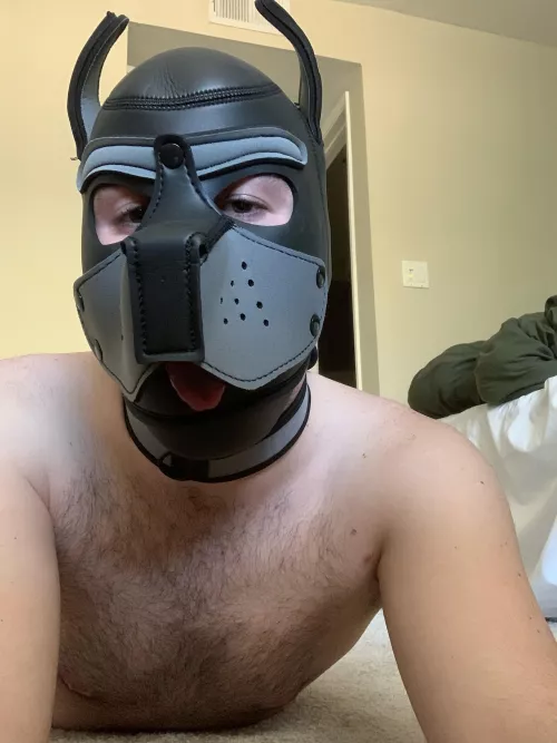 woof pup wants scratches ^-^ by SnooCupcakes4756