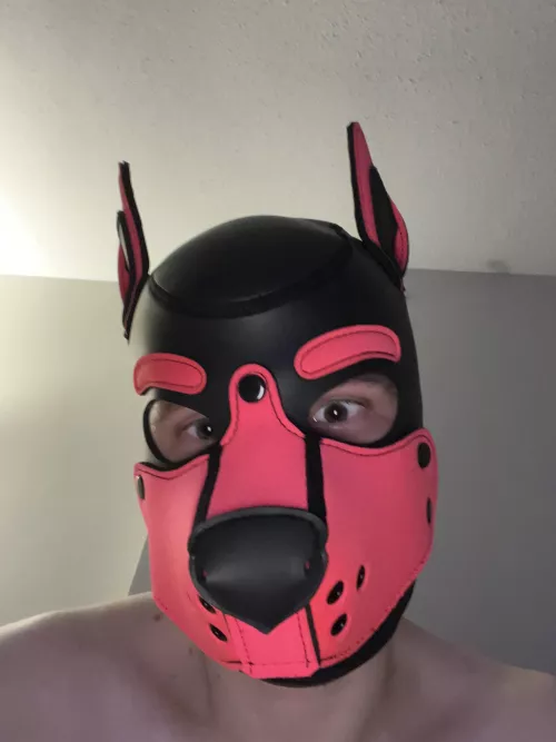 Woof 🐶 by ikat_ikat