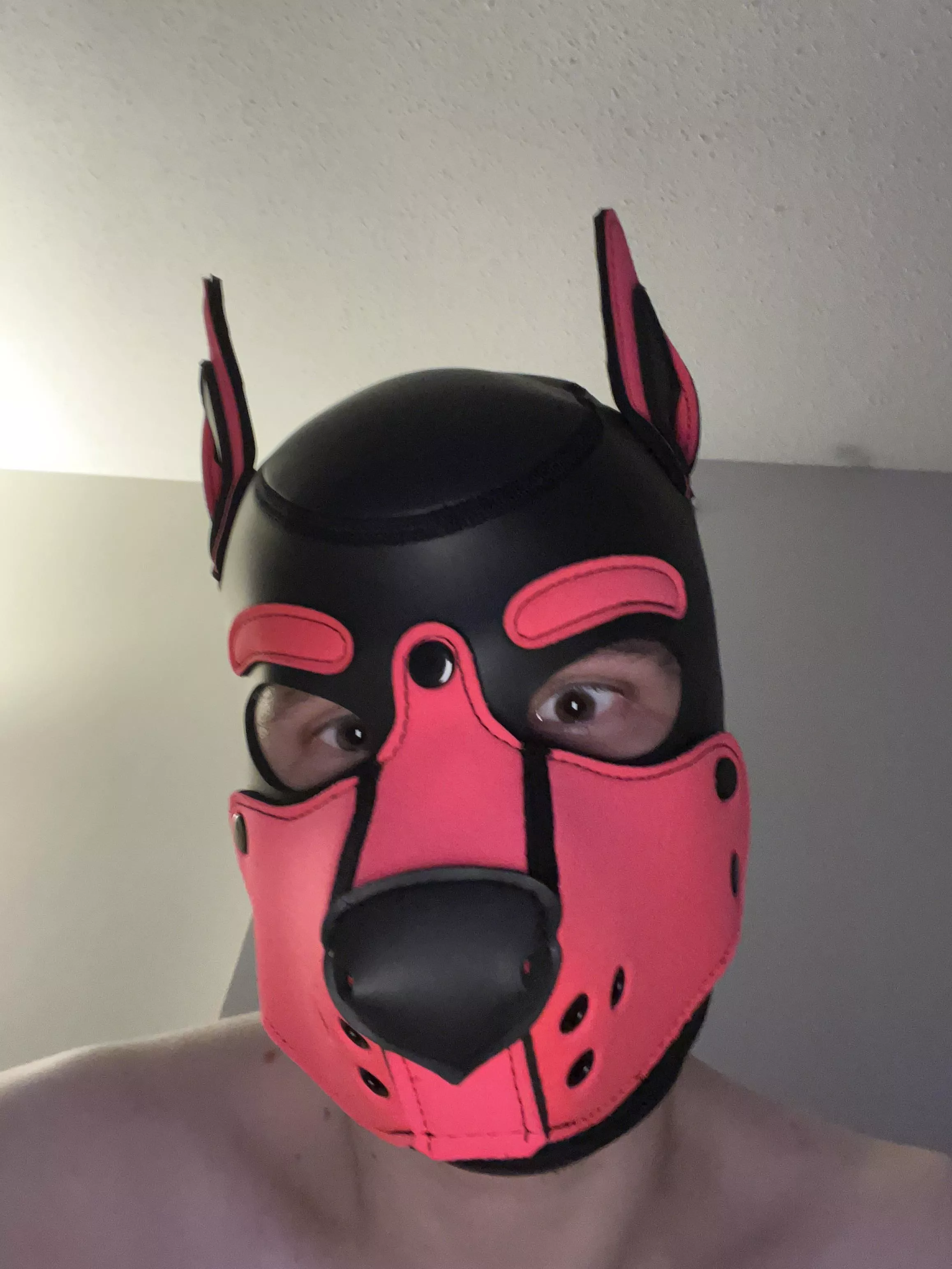 Woof 🐶 posted by ikat_ikat