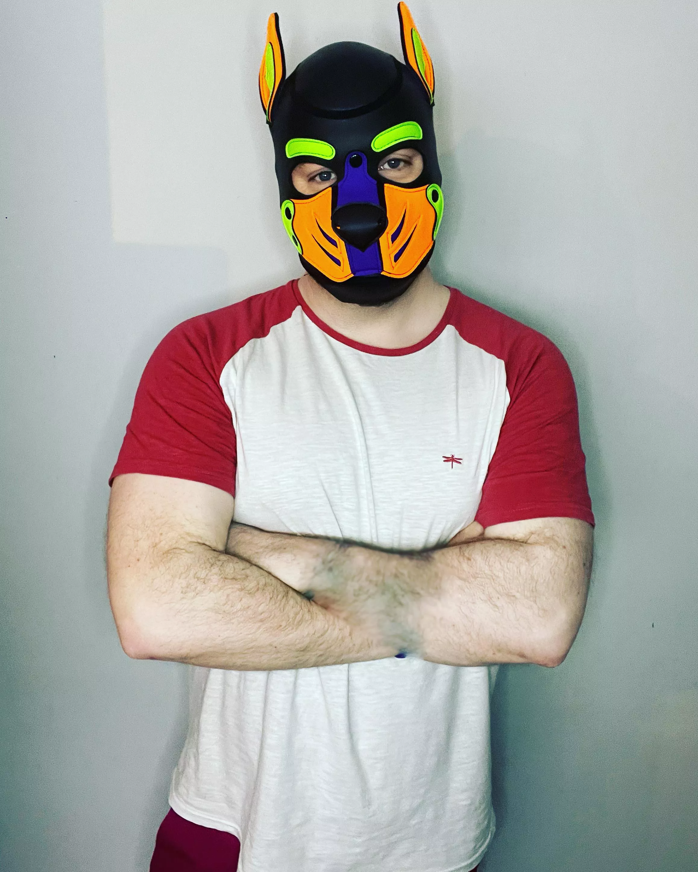 Woof woof are you a good boy? posted by Pupspencer