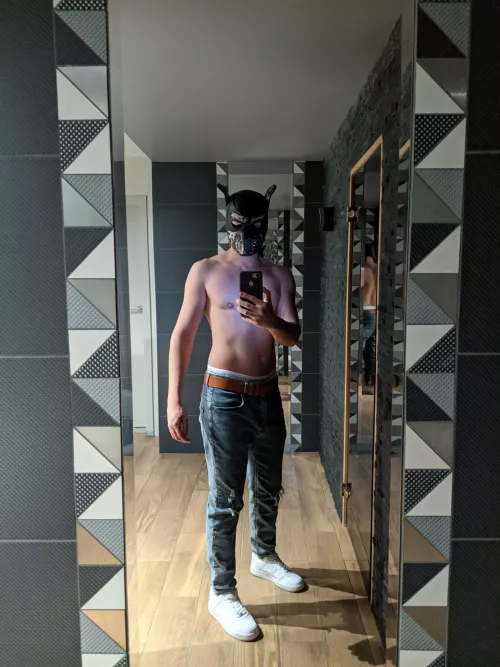 Woof, woof! Who's there? by huckinCharlie