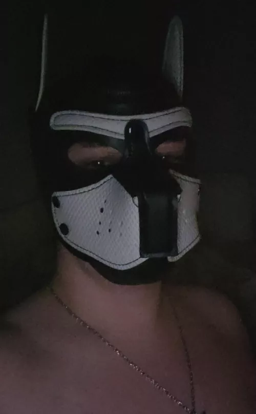 wooof! by hai_itsniko