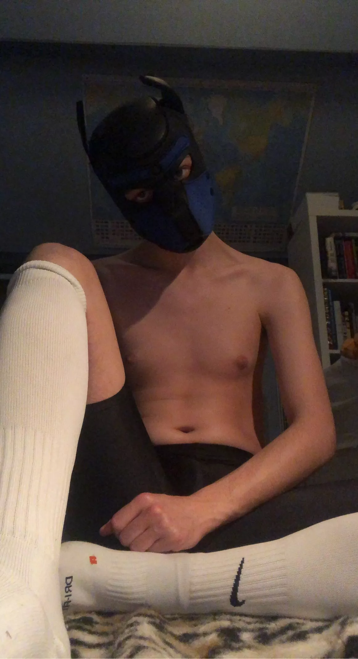Woooof! Ready for some action! posted by GayPupper