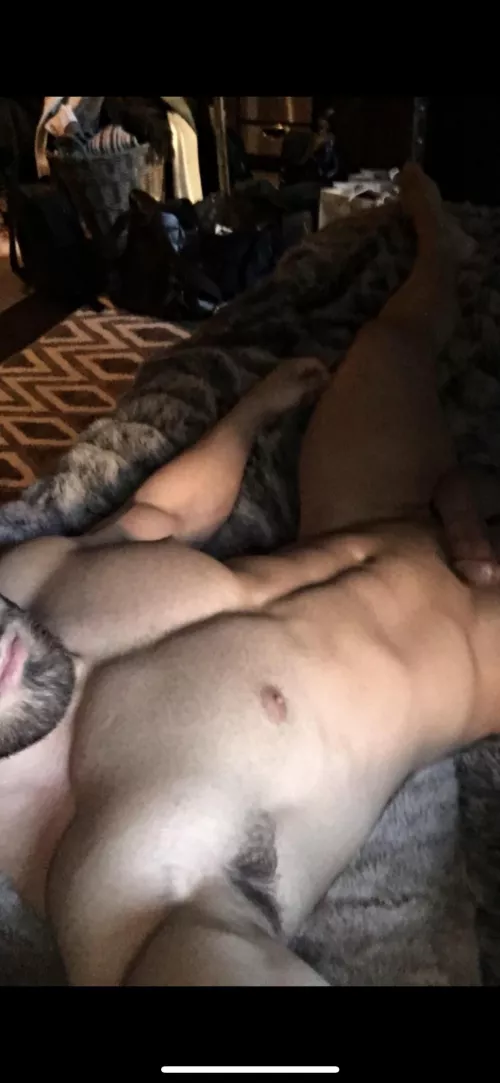 Work of art [29] by thehungstallion