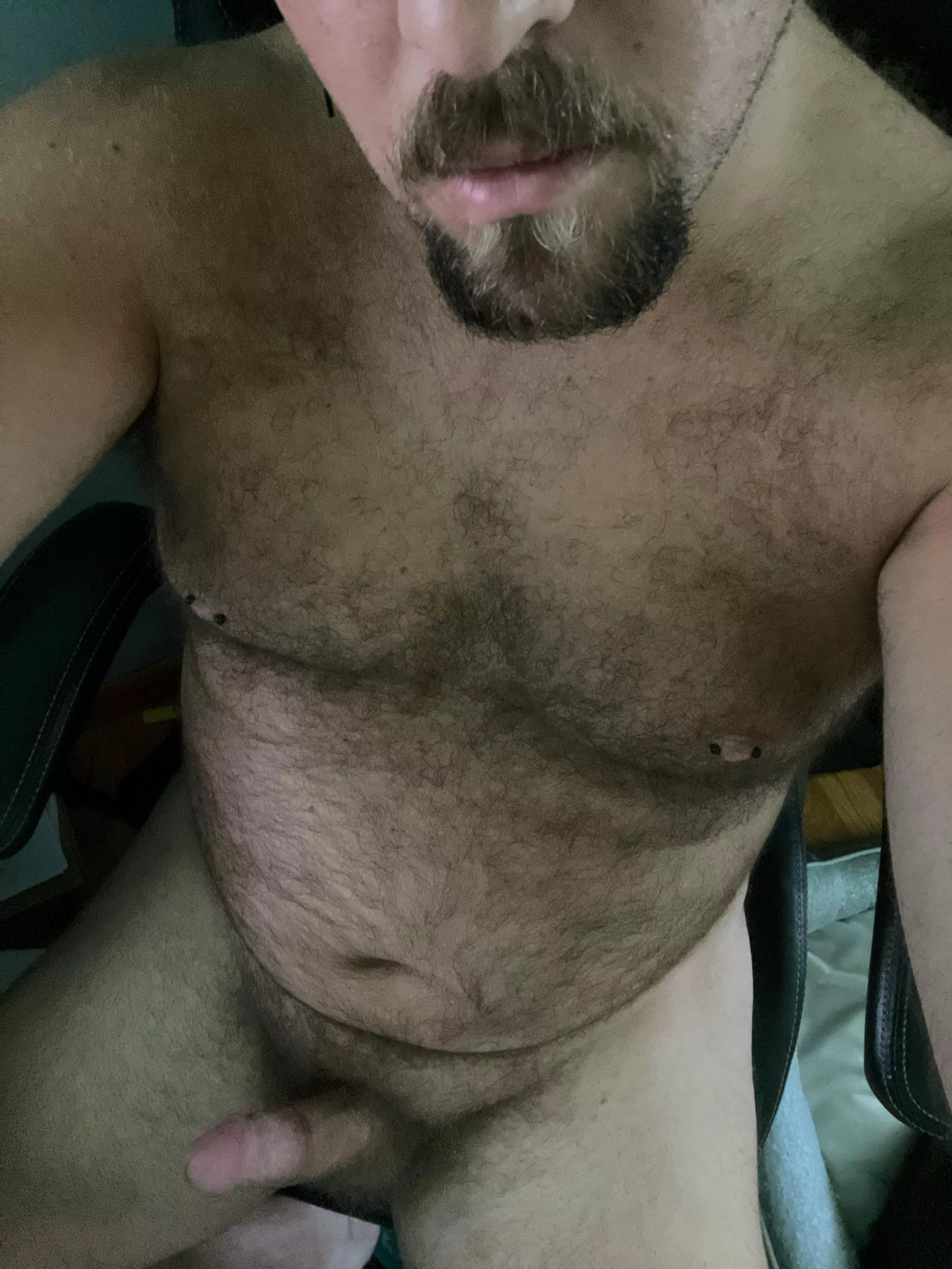 Working from home dress code…want to be my coworker? 😜 posted by versbear2022