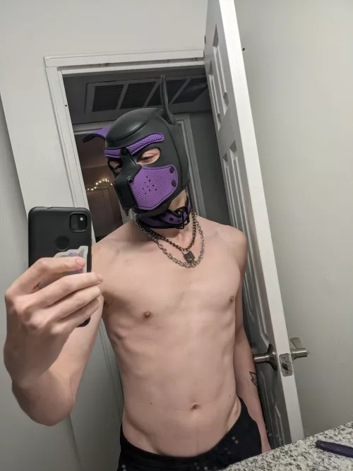 Working from home today in my favorite outfit 🐶🔒 by thescoutisout