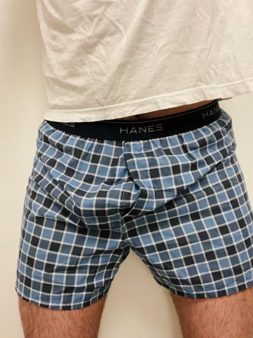 Working my way through the new pack of Hanes boxers! 😉 by hironobuwatanabe