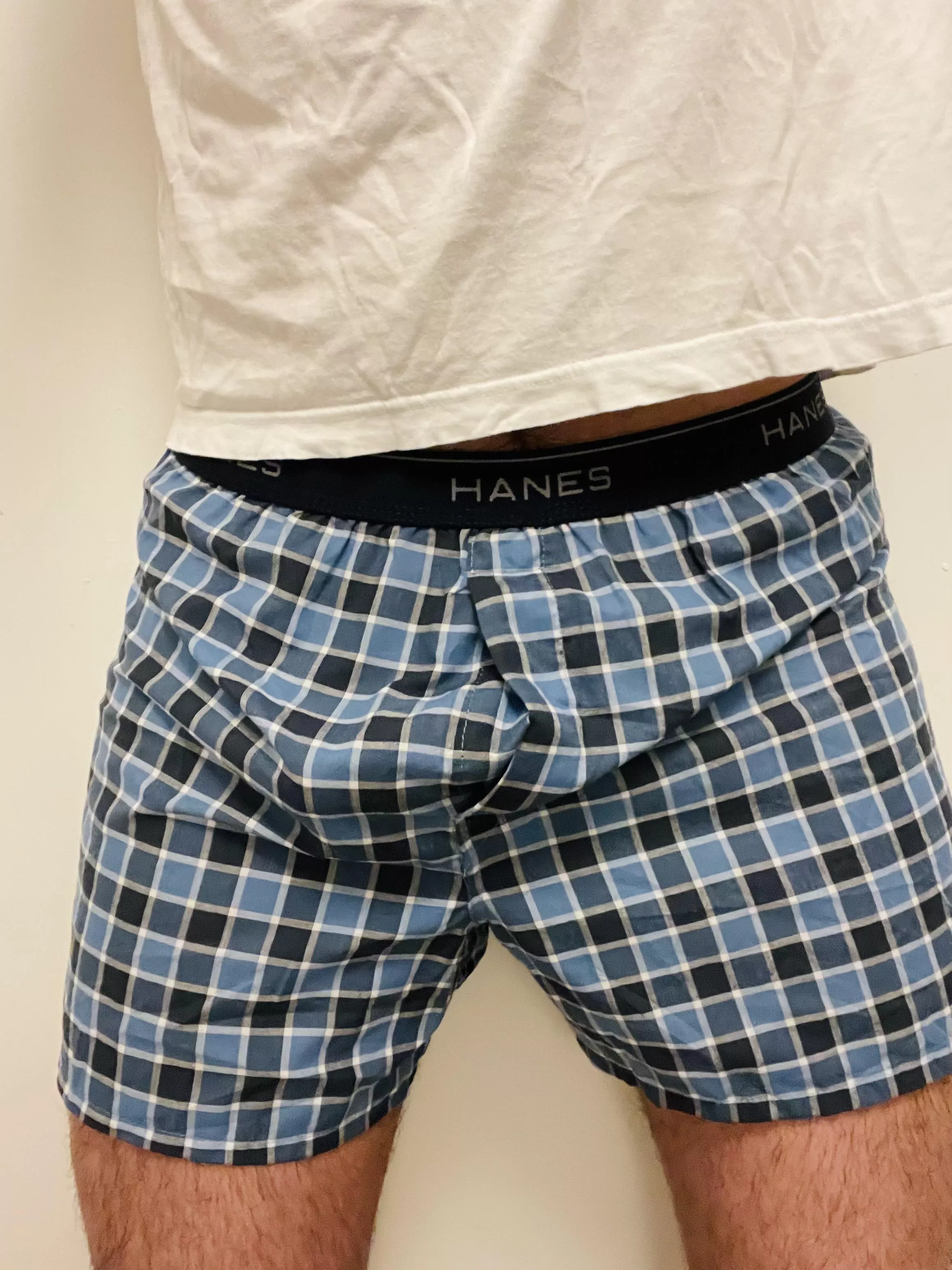 Working my way through the new pack of Hanes boxers! 😉 posted by hironobuwatanabe