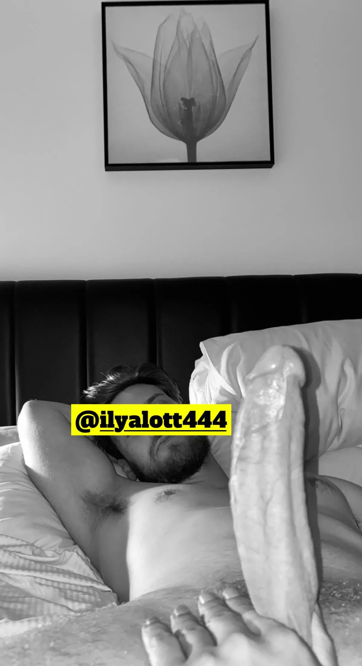 worship me. posted by ilyalott