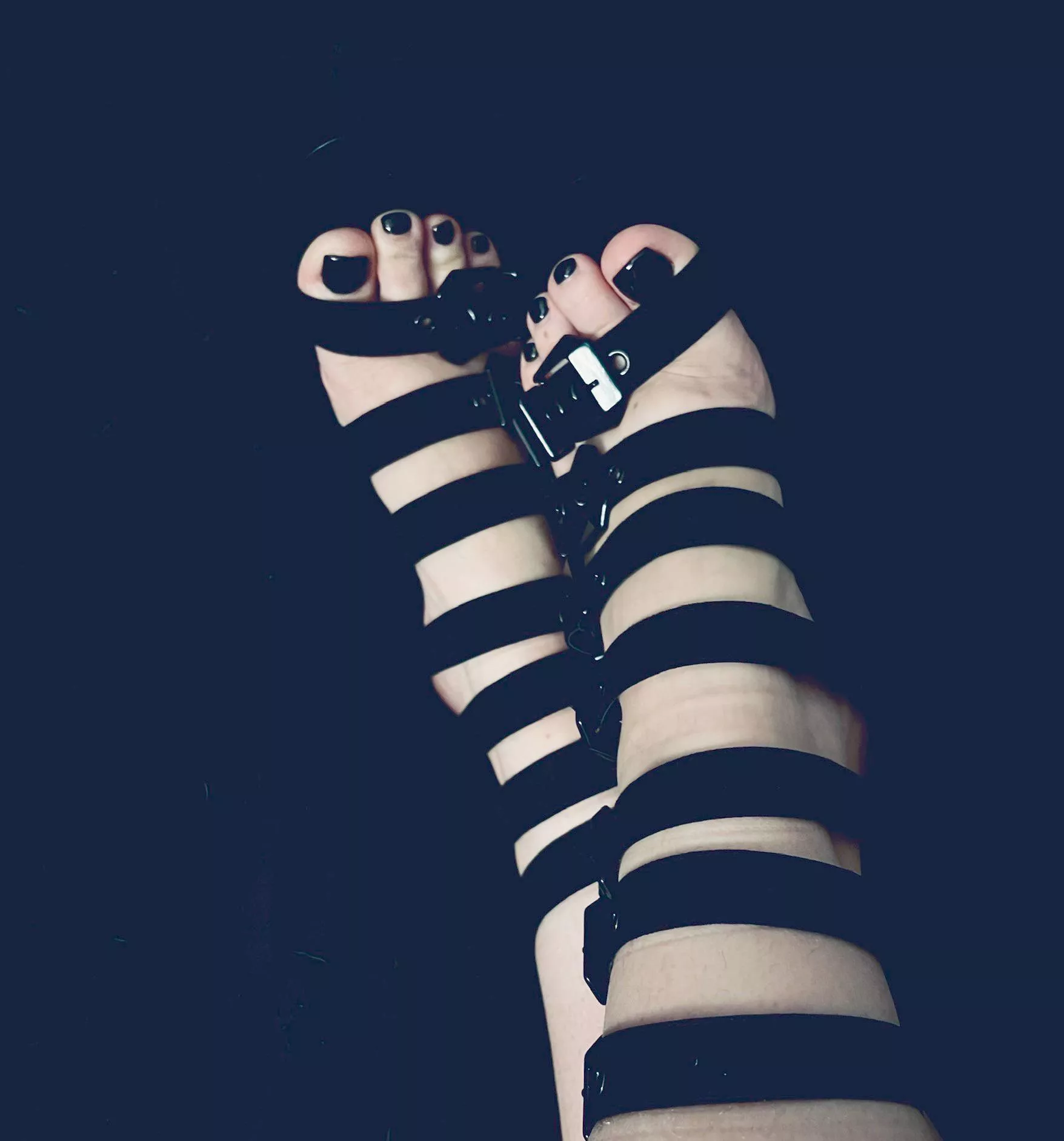 Would any of you beautiful ladies wanna play with these? posted by fan232323