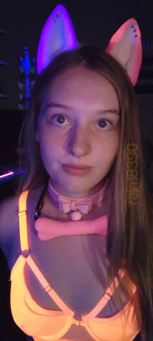 Would anyone like to adopt a glowing kitten? by rain18390