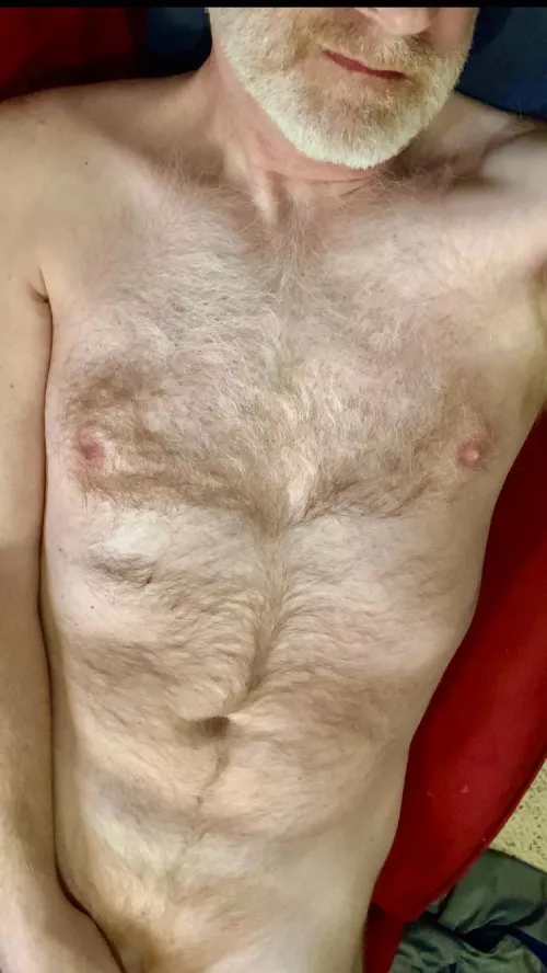 Would anyone like to snuggle? by ZelaznyFan68