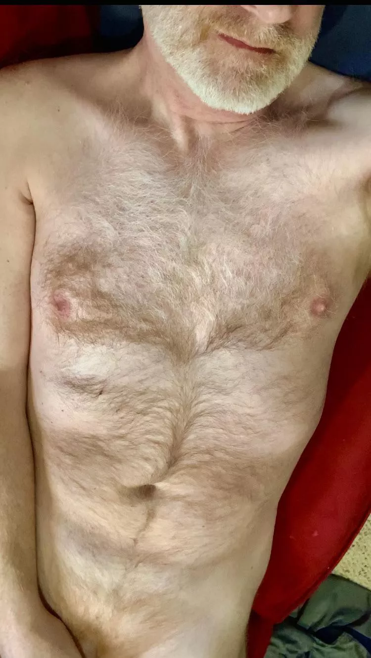 Would anyone like to snuggle? posted by ZelaznyFan68