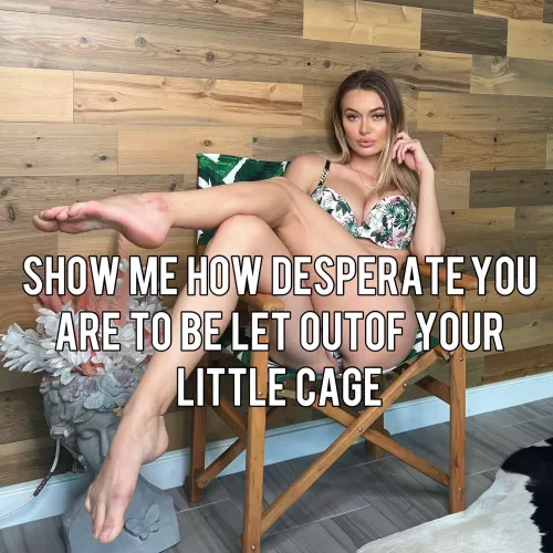 Would love to be humiliated like this by cuckluver956