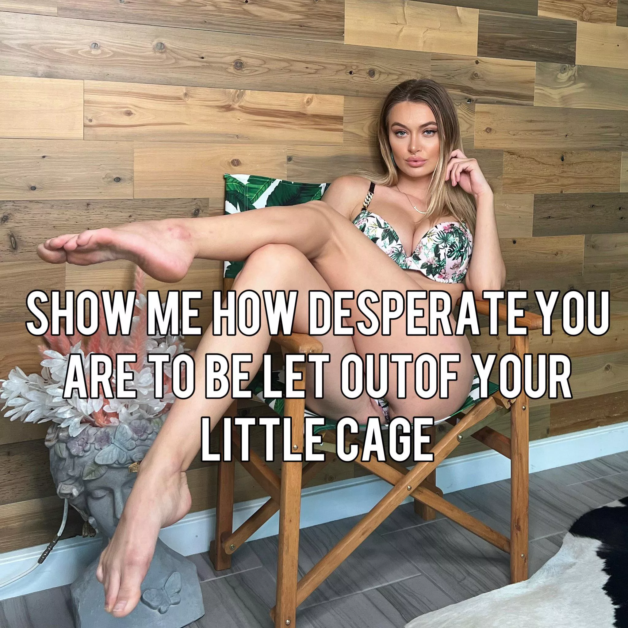 Would love to be humiliated like this posted by cuckluver956