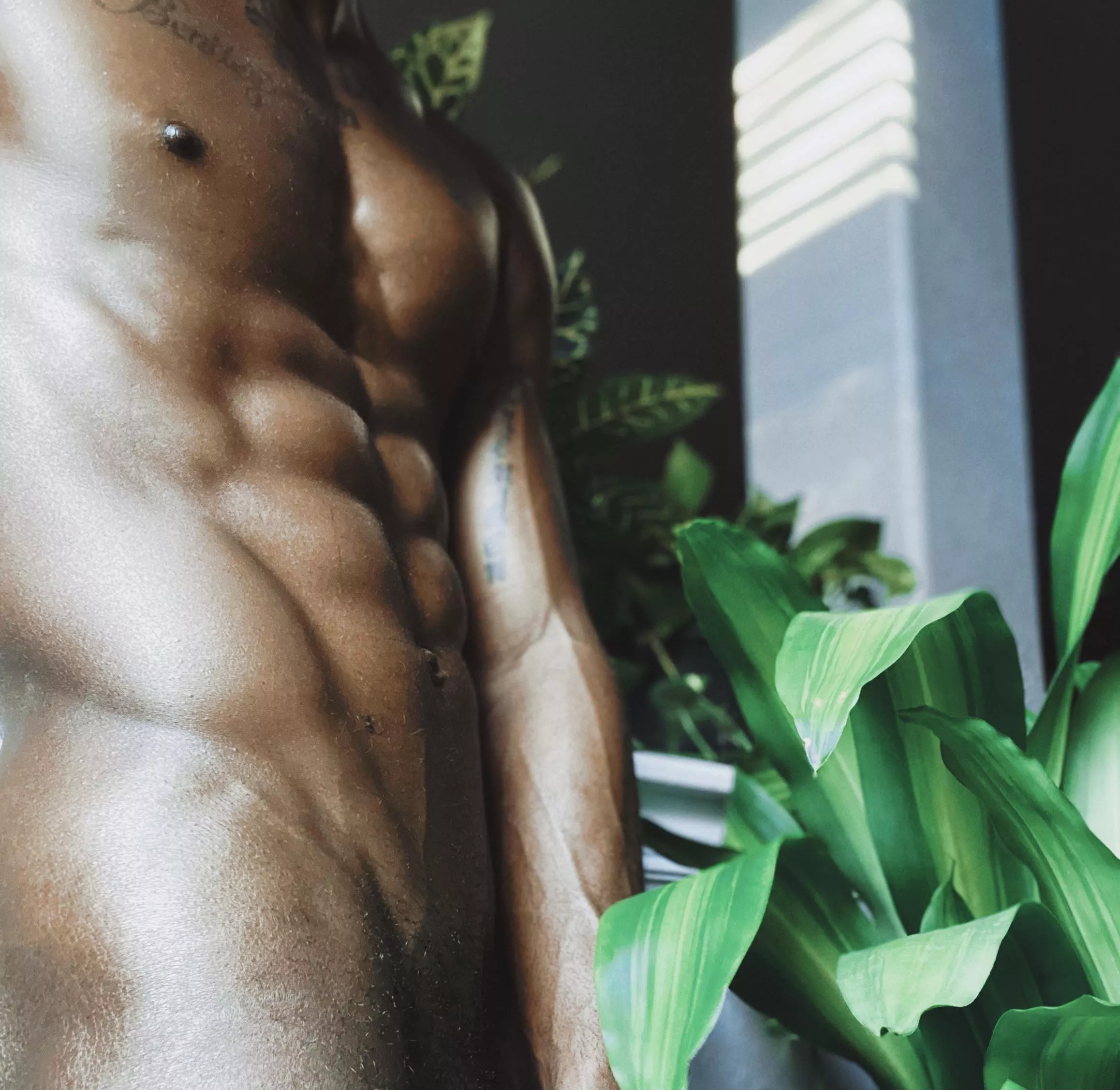 Would love to see how you all could work with the shadows posted by Weak_Presentation_28