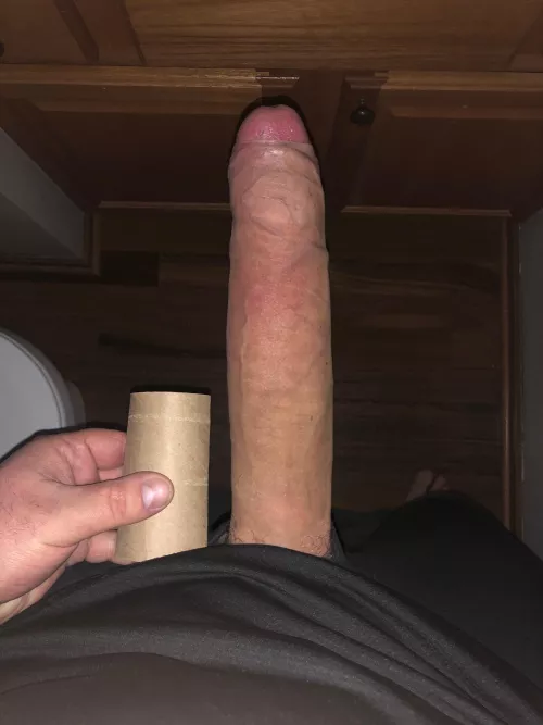 Would this make you get on your knees? by HorseHungBull