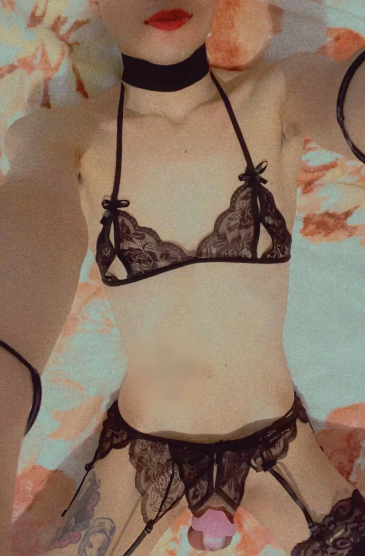 would you breed me?🥺 posted by Diegogo9