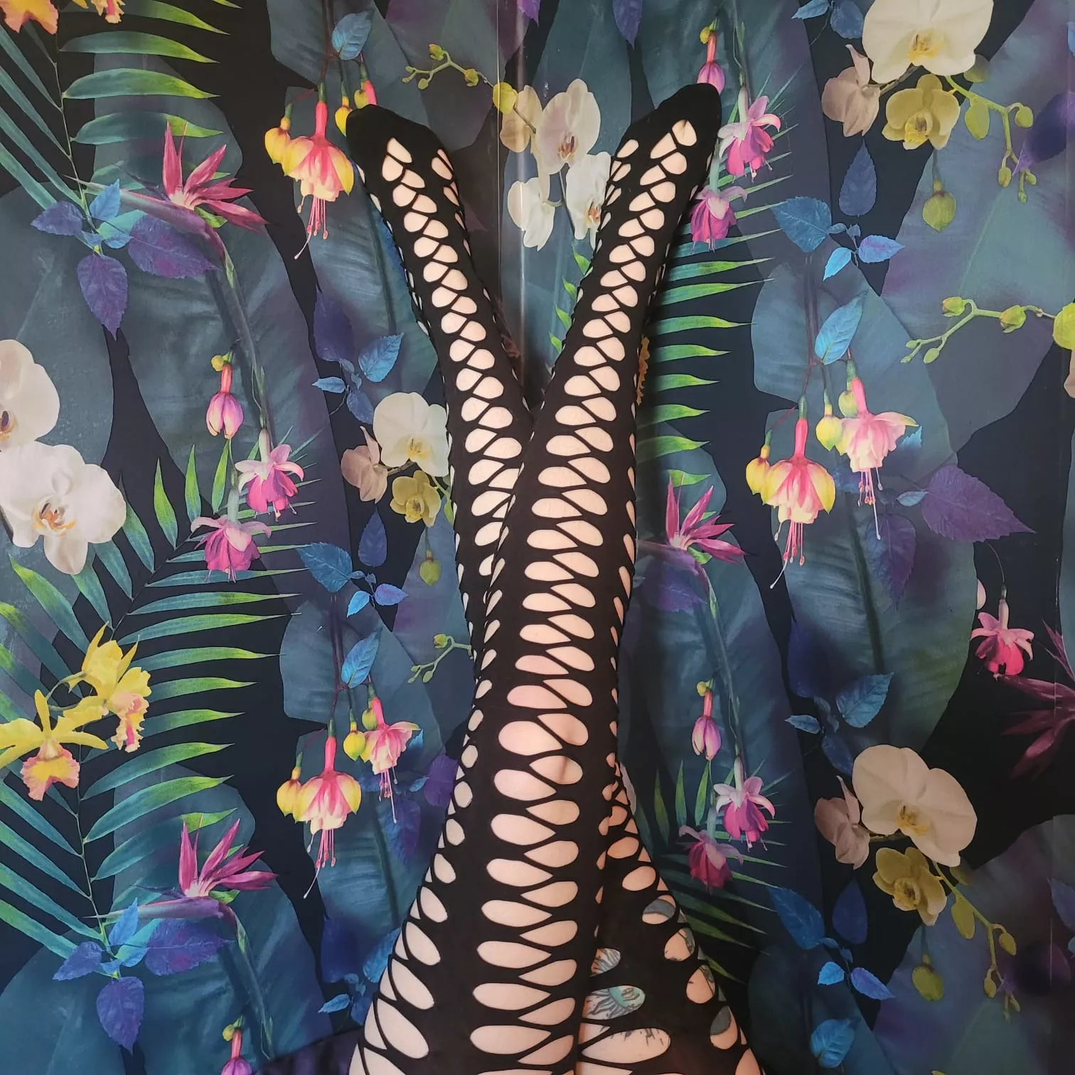 would you follow the lines? posted by qtfootsies13